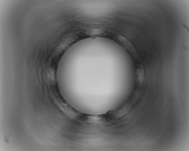 X0000100980380200807081249