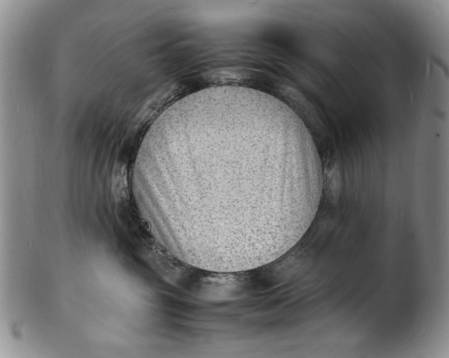 X0000100980381200807081249