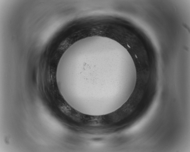 X0000100980382200807081249