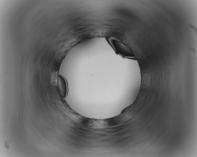 X0000100980383200807081249