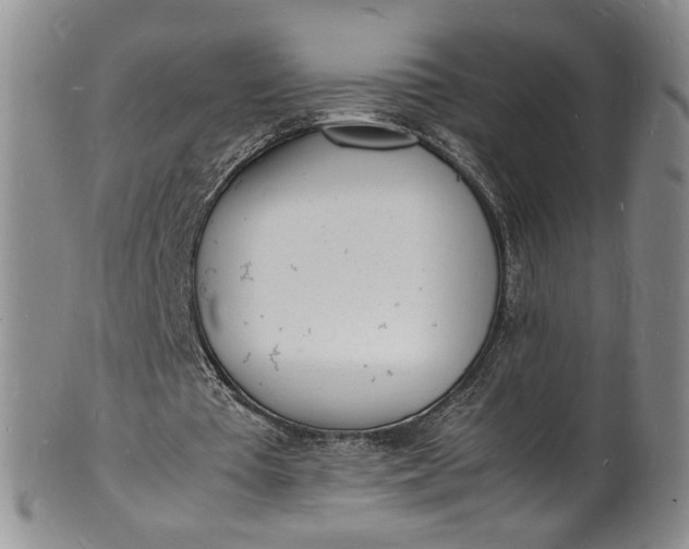 X0000100980385200807081249