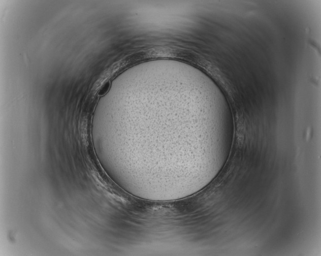 X0000100980386200807081249