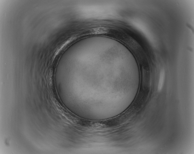 X0000100980387200807081249