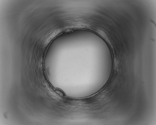 X0000100980389200807081249