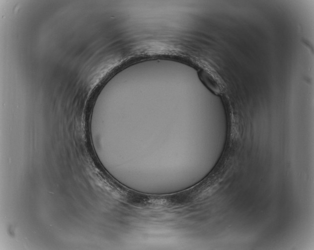 X0000100980391200807081249