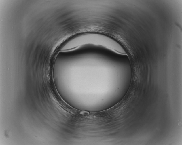 X0000100980392200807081248