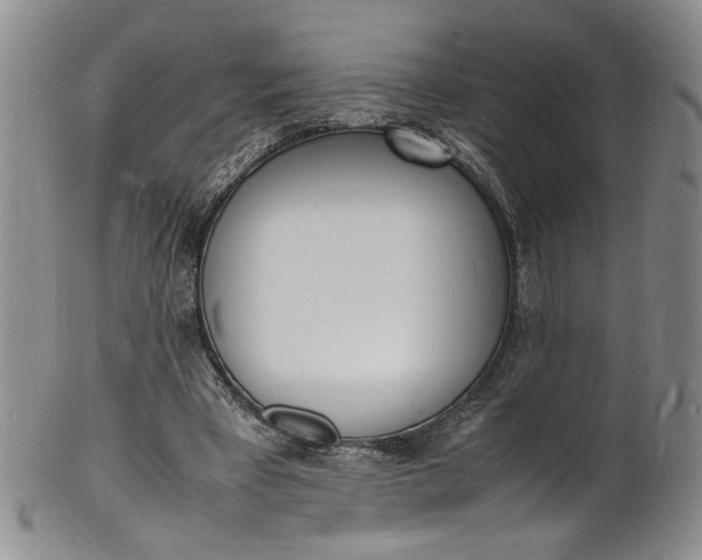 X0000100980393200807081248