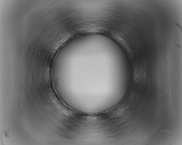 X0000100980394200807081248