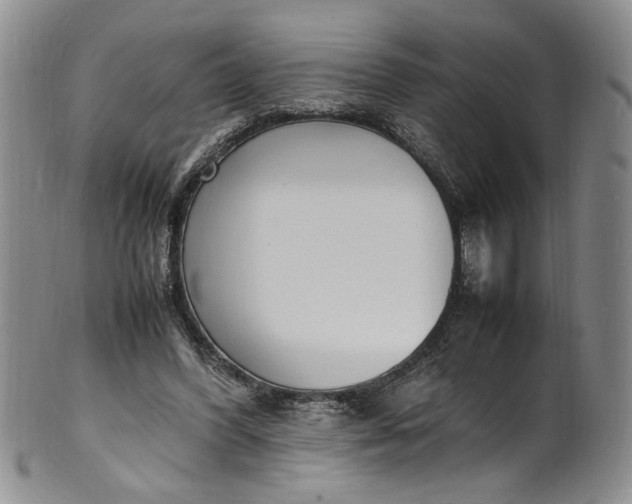 X0000100980396200807081248