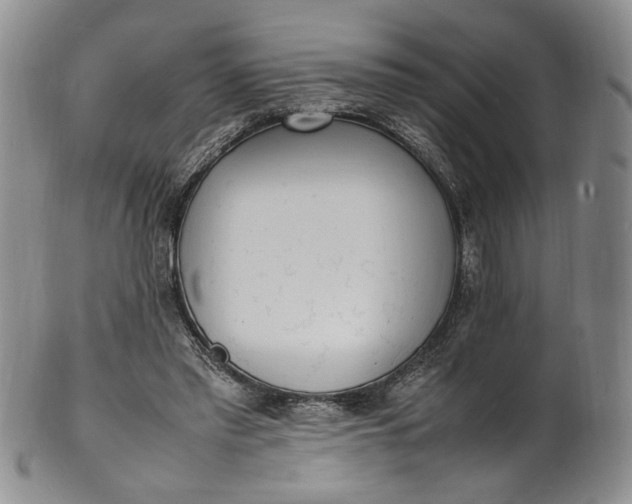 X0000100980397200807081248