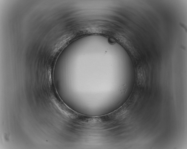 X0000100980398200807081248