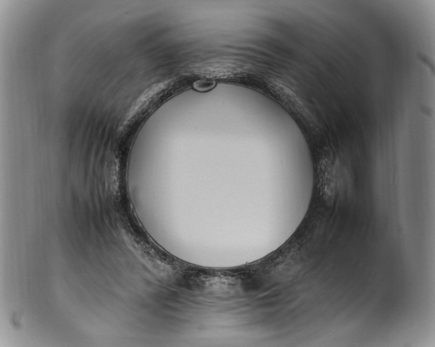 X0000100980400200807081248