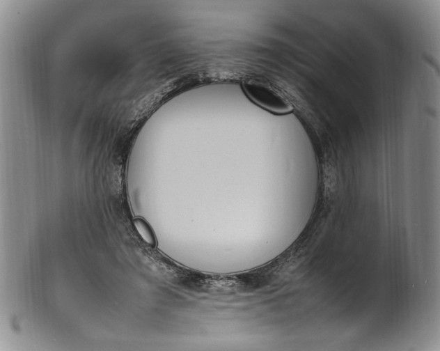 X0000100980401200807081248