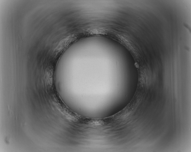 X0000100980402200807081248