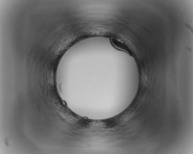 X0000100980403200807081248