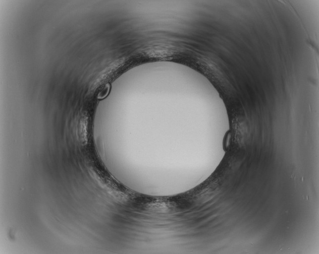 X0000100980404200807081248