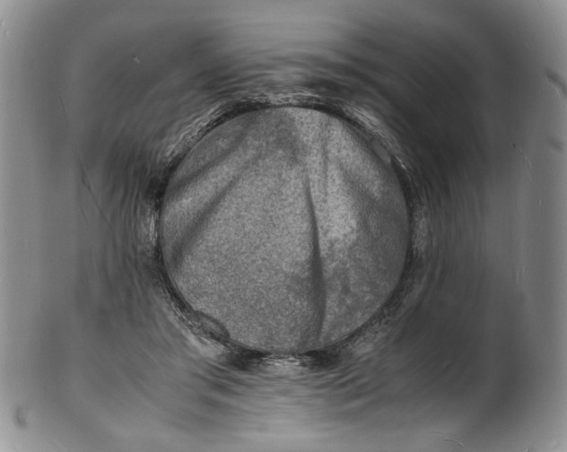 X0000100980405200807081248