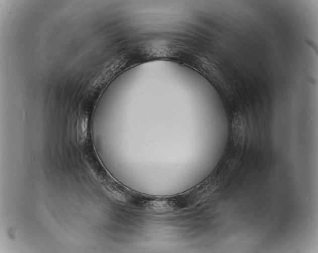 X0000100980406200807081248