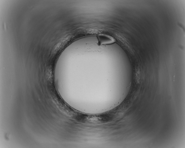 X0000100980407200807081248