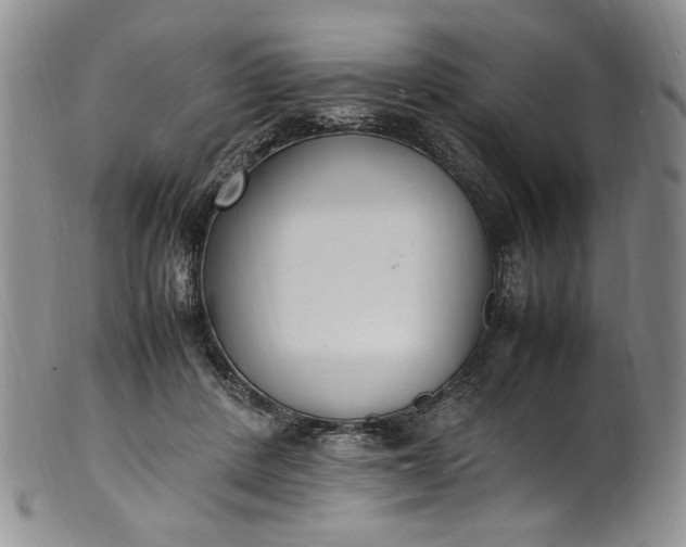 X0000100980408200807081248