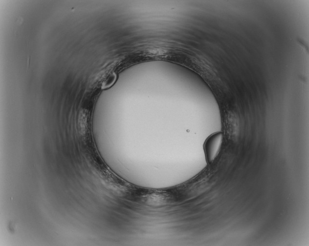 X0000100980412200807081248