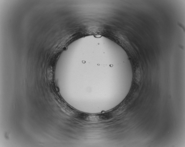 X0000100980413200807081248