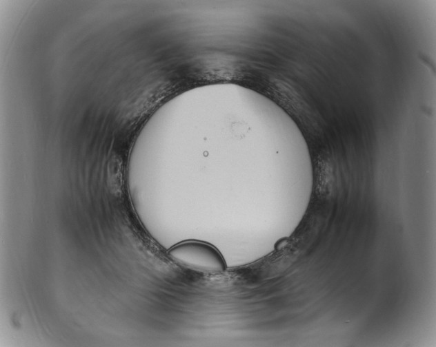 X0000100980414200807081248