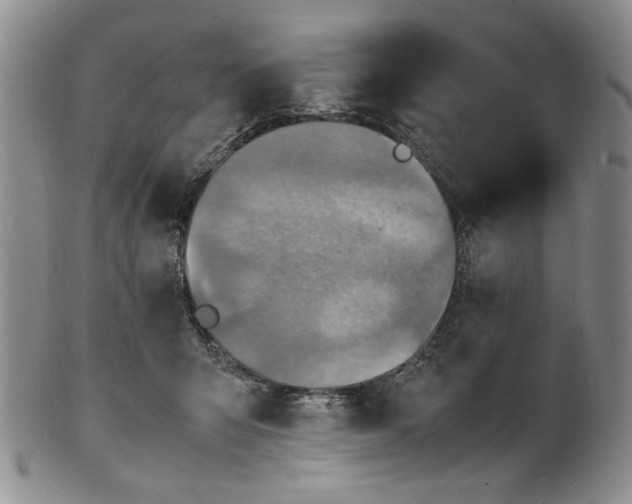 X0000100980415200807081248