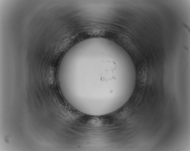 X0000100980416200807081248