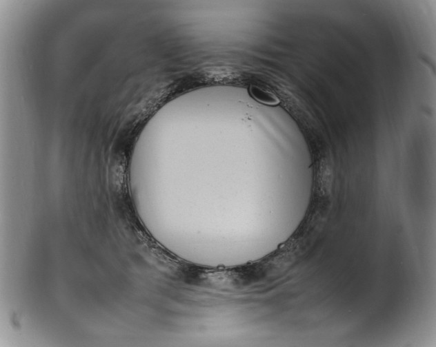 X0000100980417200807081248