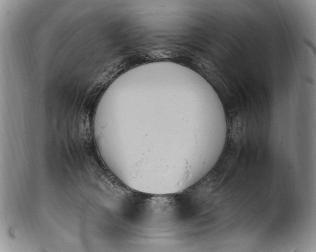 X0000100980418200807081248