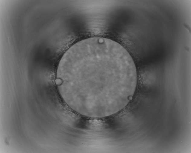 X0000100980419200807081248