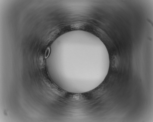 X0000100980420200807081248