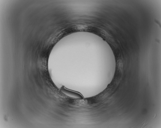 X0000100980421200807081248