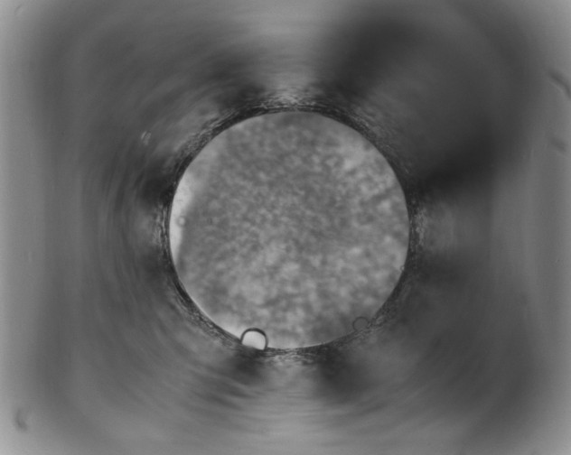 X0000100980423200807081248