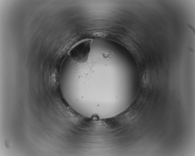 X0000100980424200807081248