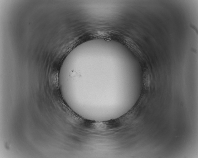 X0000100980425200807081248