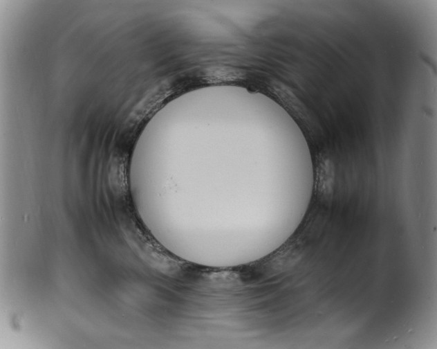 X0000100980426200807081248