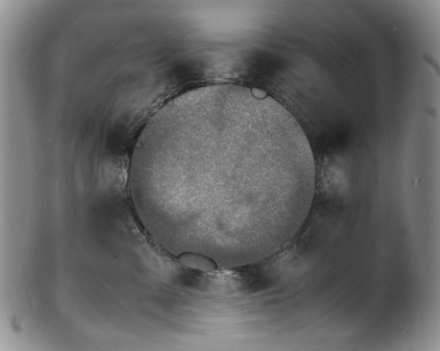 X0000100980427200807081248