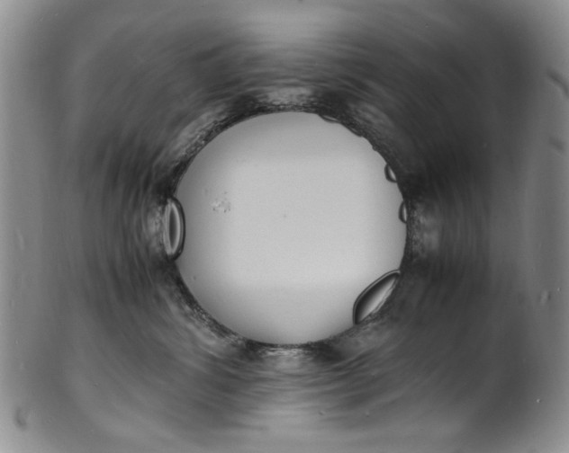 X0000100980428200807081248