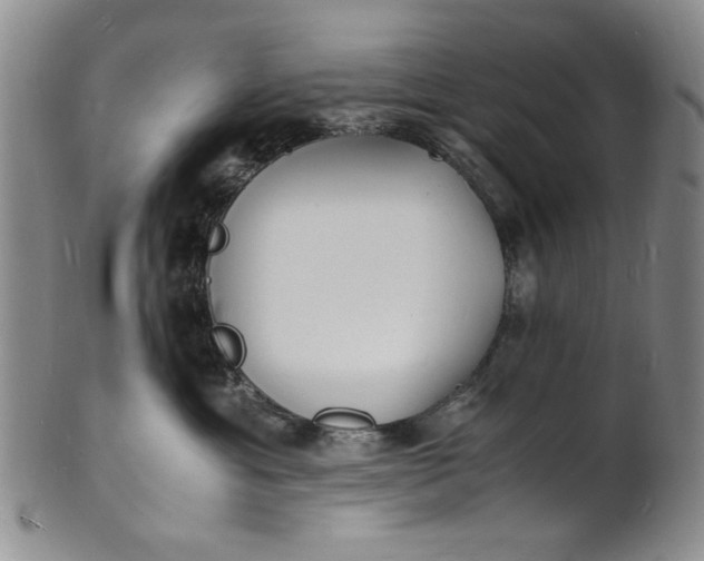 X0000100980429200807081248