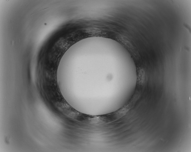 X0000100980430200807081248