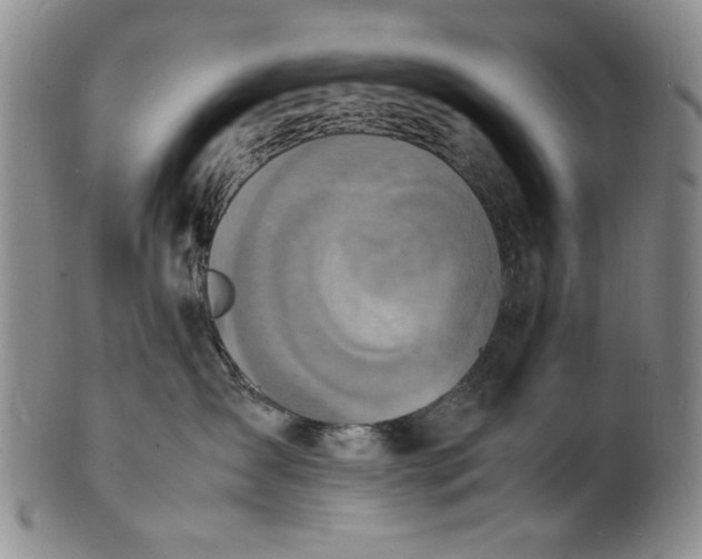 X0000100980431200807081248