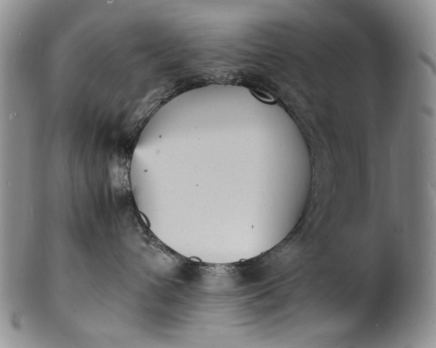 X0000100980432200807081248