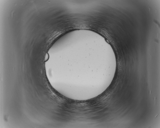 X0000100980433200807081247