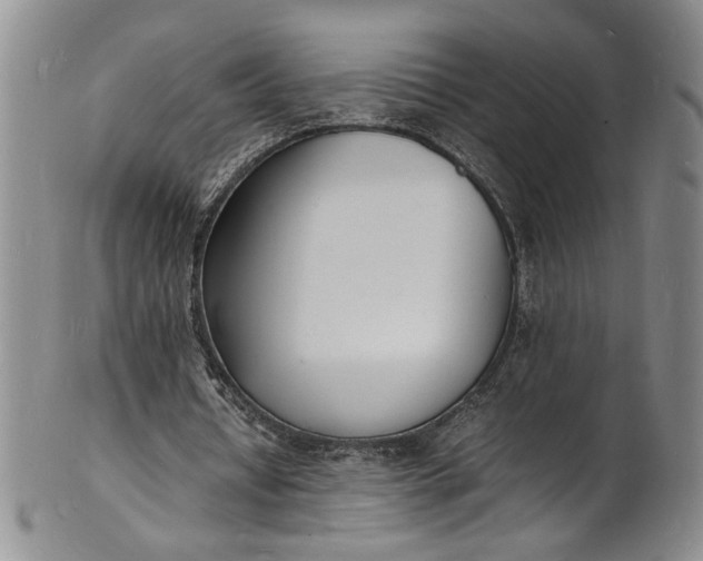 X0000100980434200807081247