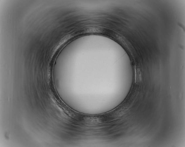 X0000100980435200807081247