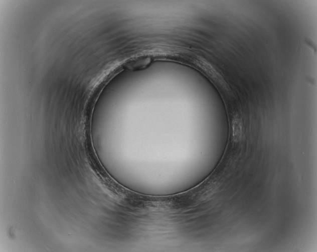 X0000100980436200807081247