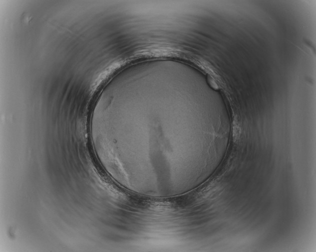 X0000100980438200807081247