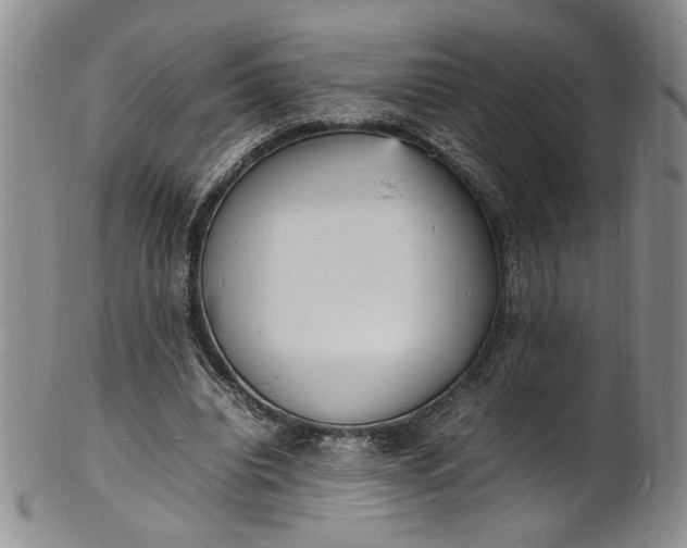 X0000100980440200807081247